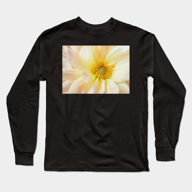 Yellow Dahlia Long Sleeve T-Shirt by mariola5